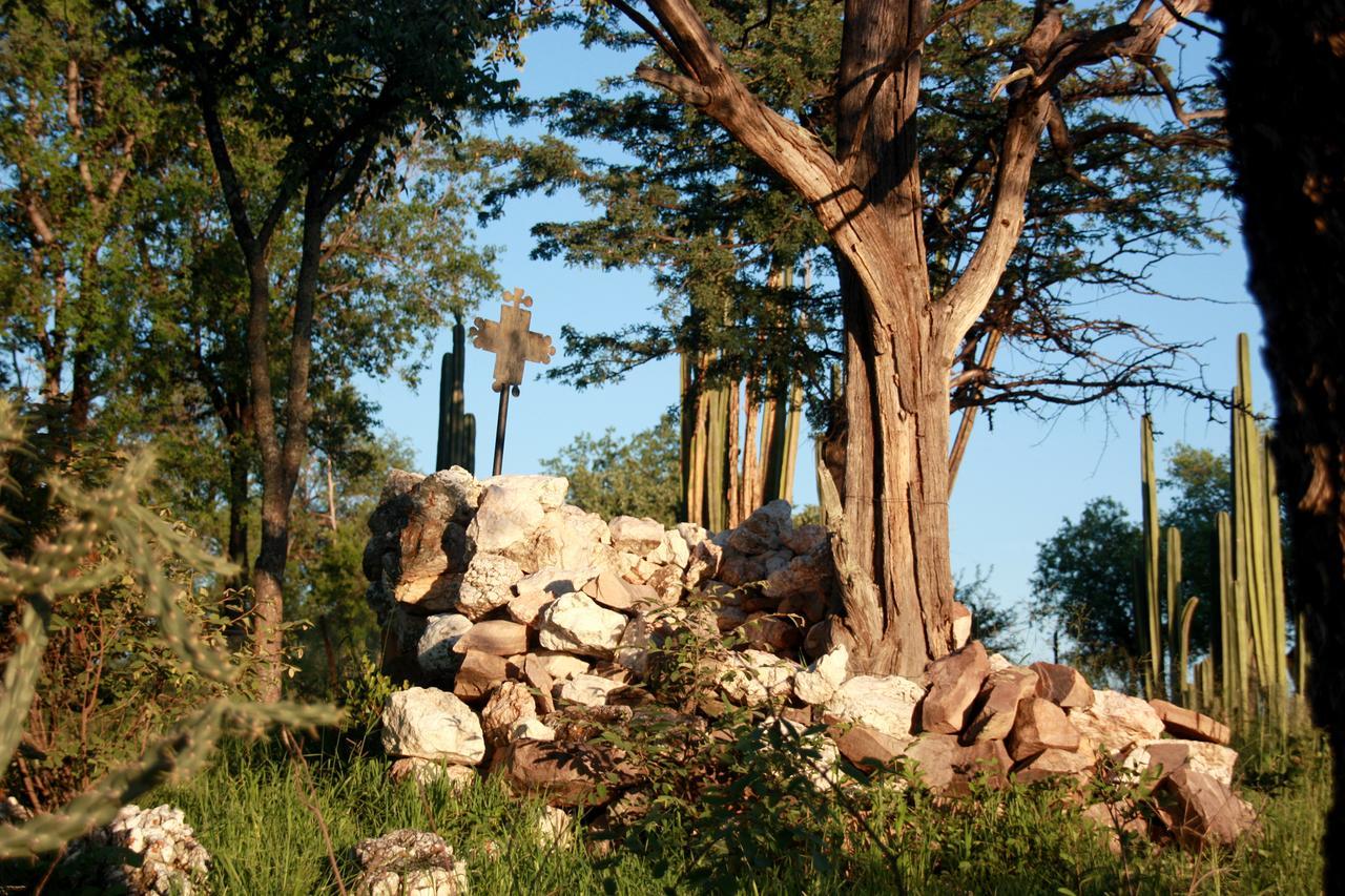 Ghaub Nature Reserve&Farm Grootfontein Exterior foto